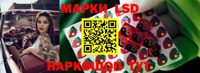 бошки Будённовск