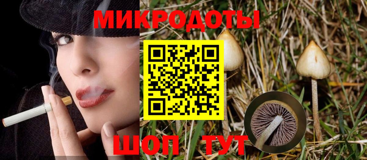 Галлюциногенные грибы GOLDEN TEACHER  Вход с VPN  Галлюциногенные грибы Cubensis  Саянск 